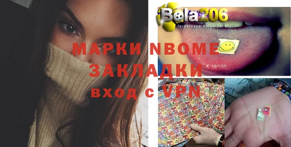 индика Нефтегорск
