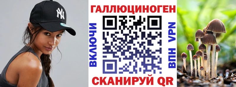 закладка  Тайга  Псилоцибиновые грибы мицелий 